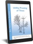 Digital BMP - Utility Pruning of Trees