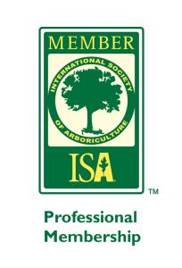 ISA Professional membership