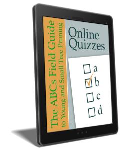 ABCs Pruning online quiz