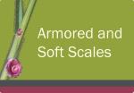 Scales Course