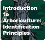 ID principles