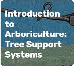 tree support icon
