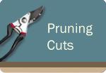 Pruning Cuts Course
