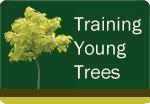 Training Young Trees Course