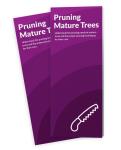 Pruning Mature Trees