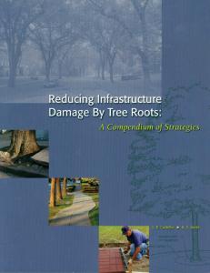 Reducing Infrastructure Damage by Tree Roots