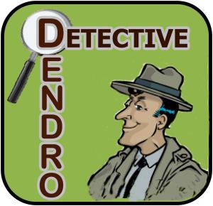 Detective Dendro Icon