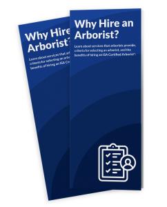Why Hire
